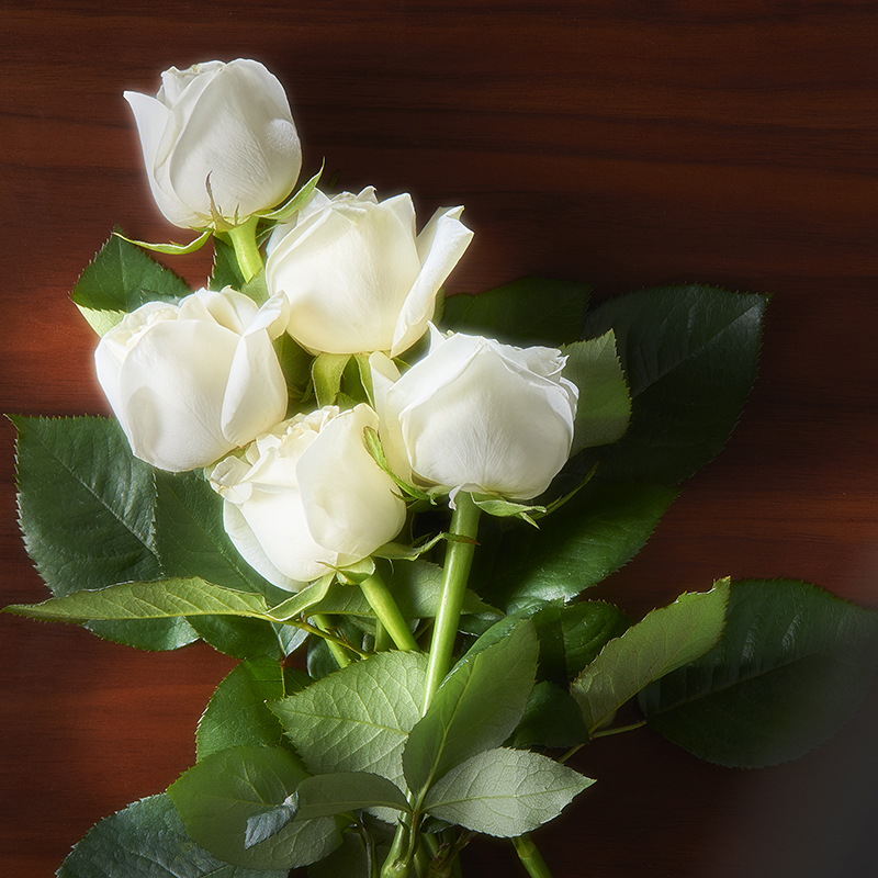 薔薇