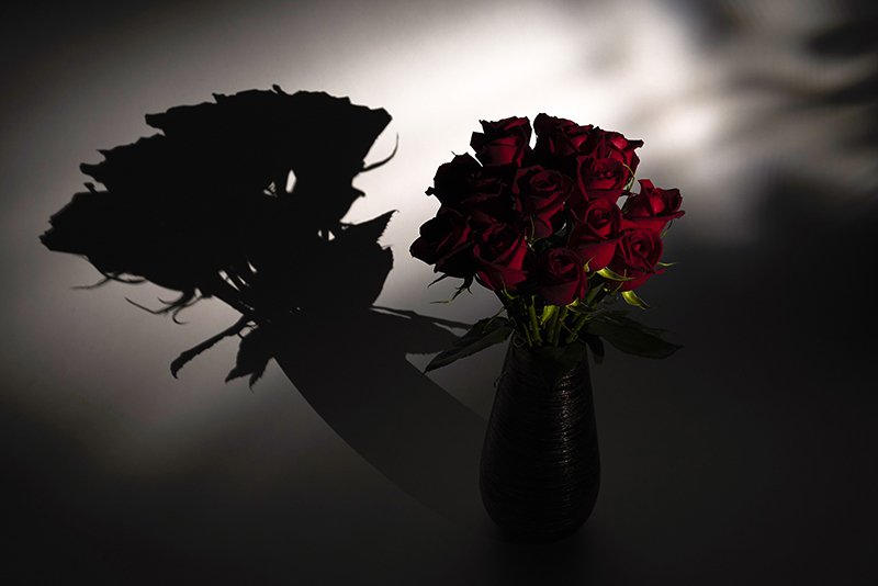 薔薇